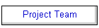 Project Team